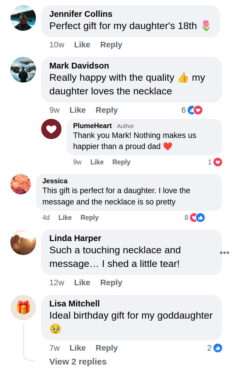 Customer comment (sample)
