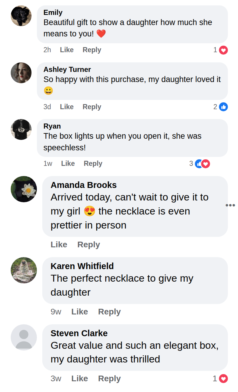 Customer comment (sample)