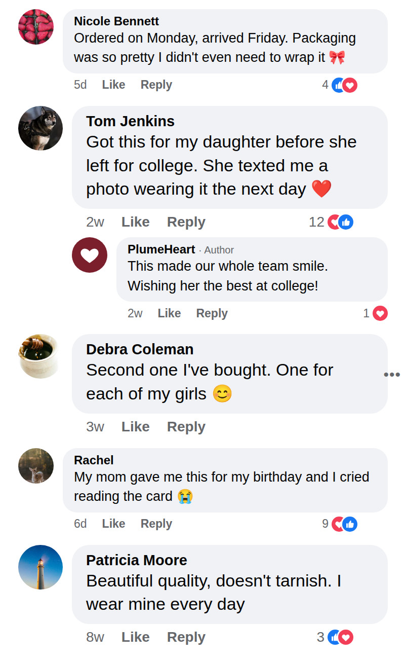 Customer comment (sample)