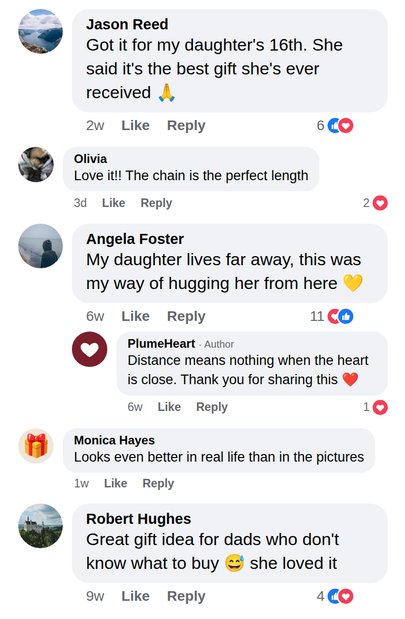 Customer comment (sample)